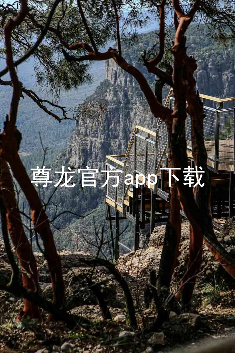 尊龙官方app下载