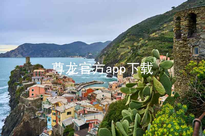 尊龙官方app下载